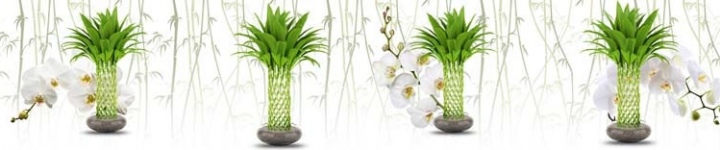 Орхидеи - skinali 0355