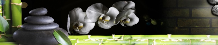 Орхидеи - skinali-10175
