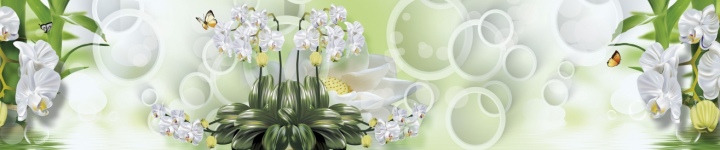 Орхидеи - skinali-10233