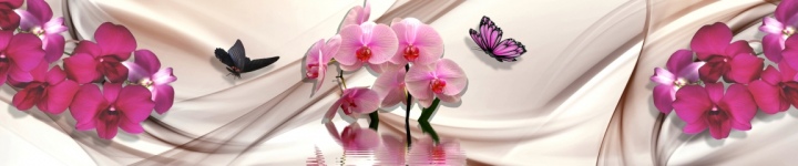 Орхидеи - skinali-10373