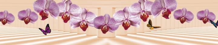 Орхидеи - skinali-10449