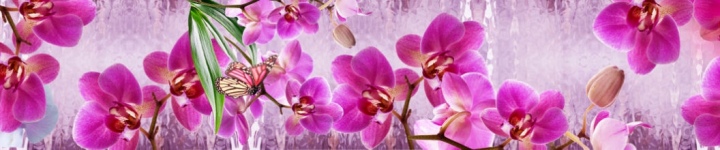 Орхидеи - skinali 2005