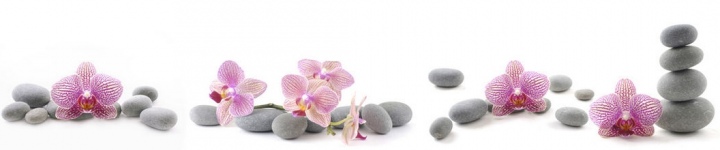 Орхидеи - skinali 2132