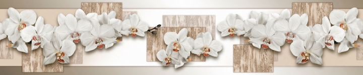 Орхидеи - skinali 2759