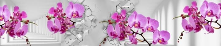 Орхидеи - skinali 3511