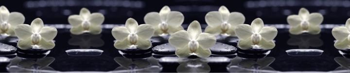 Орхидеи - skinali 3563