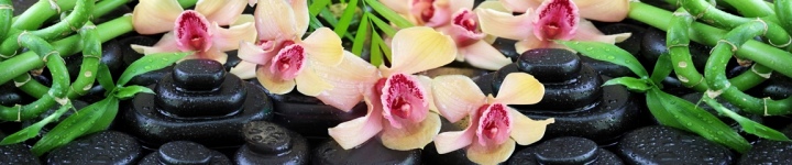 Орхидеи - skinali 3565