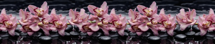 Орхидеи - skinali-6184