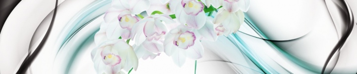 Орхидеи - skinali-6677