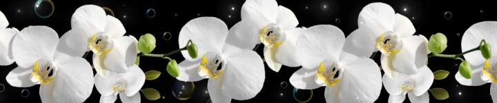 Орхидеи - skinali-6851