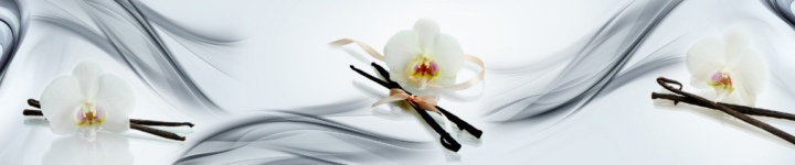 Орхидеи - skinali-6857