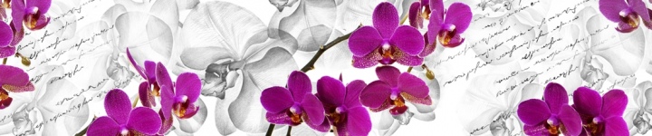 Орхидеи - skinali-9680