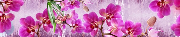 Орхидеи - skinali-9959