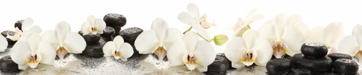 Орхидеи - skinali-9972
